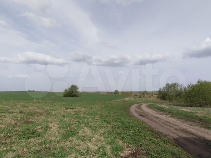 Участок 25 га (СНТ, ДНП)