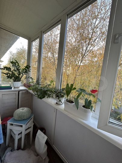 2-к. квартира, 44 м², 5/5 эт.