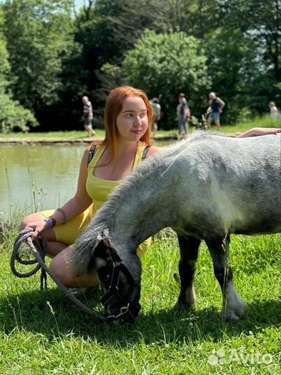 Экскурсии на экоферме с купанием и полётом на шаре