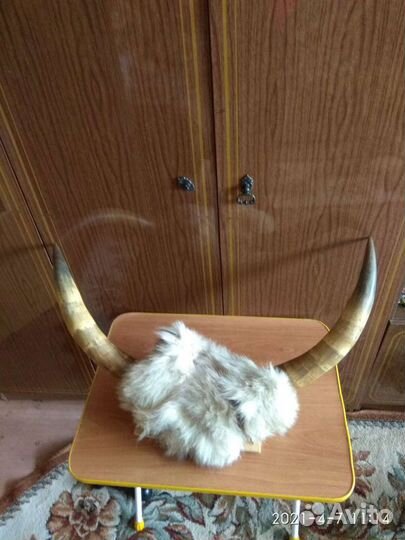 Рога разные