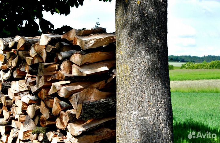 Дрова с Выборга