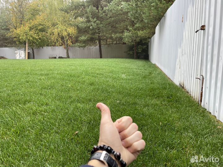 Рулонный газон. Работа по проекту