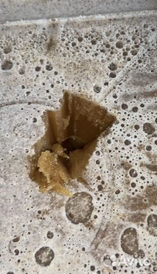 Мед оптом гречиха