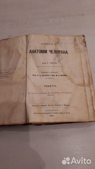 Антикварная книга 1881г. Анатомия человека