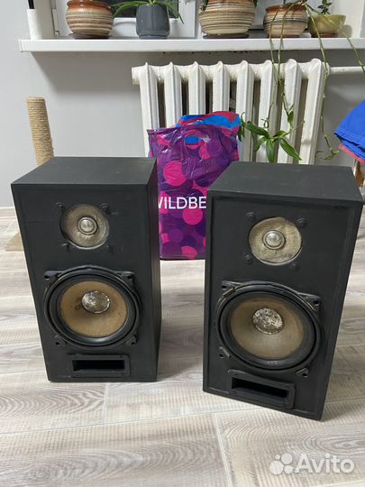 Колонки Вега 35ас 105