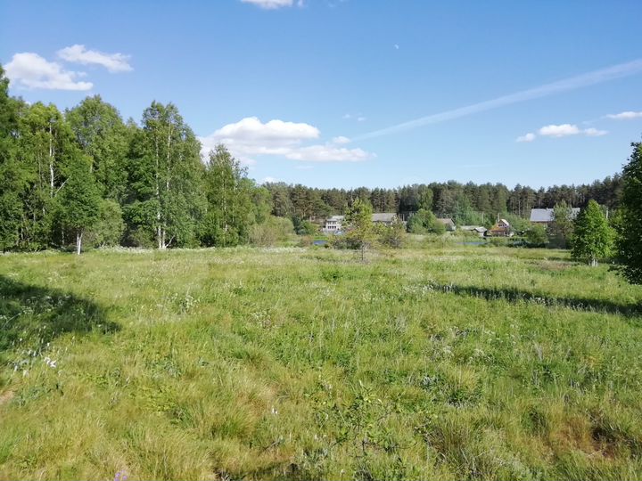 Участок 3,5 га (СНТ, ДНП)