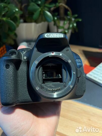 Зеркальный фотоаппарат canon 600d