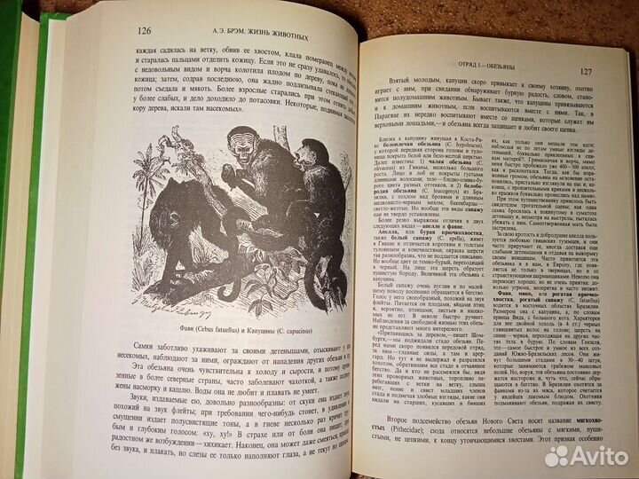 А.Э. Брэм Жизнь животных в 3х томах