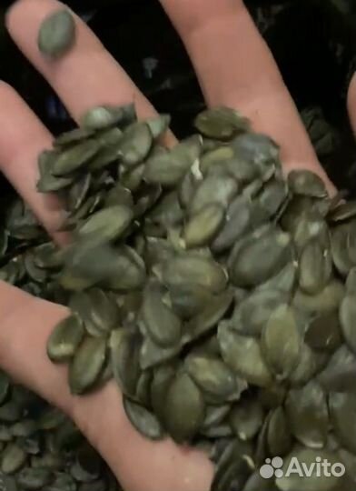 Голосемянка. Семена. Опт