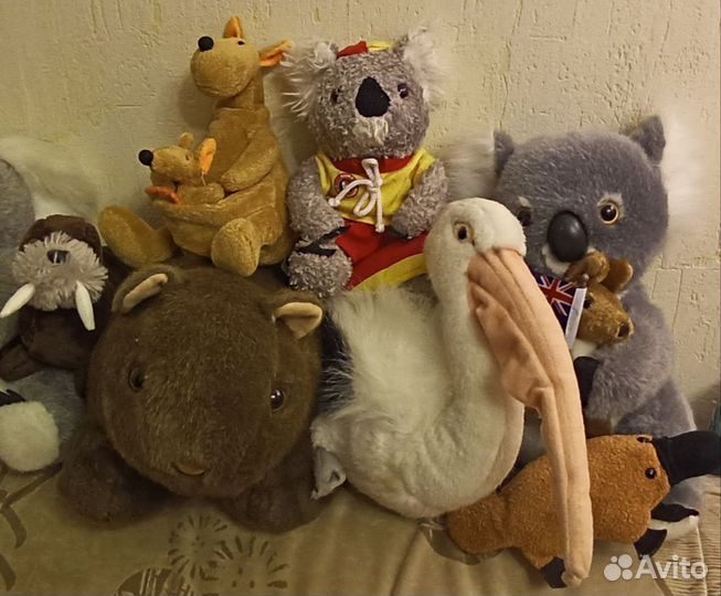 Животные Австралии (цена за все)