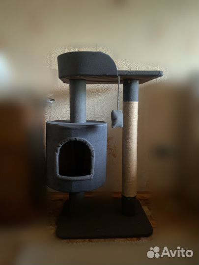 Когтеточка