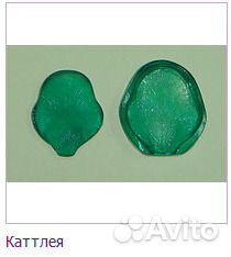 Молды тюльпана, лилии, розы, каллы