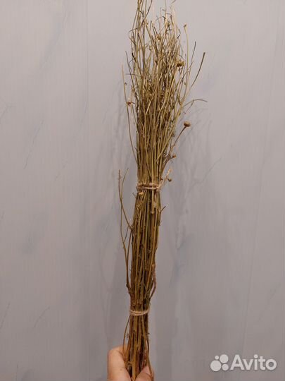 Экотовары для птиц, грызунов 2