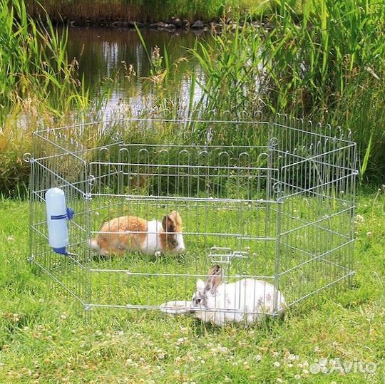 Манеж для собак