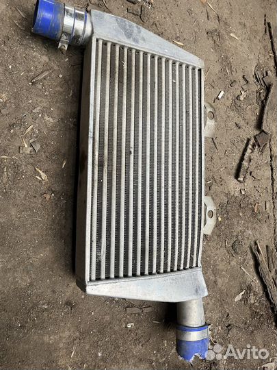 Интеркуллер evolution