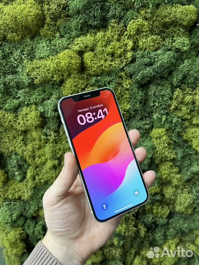 iPhone 12, 256 ГБ