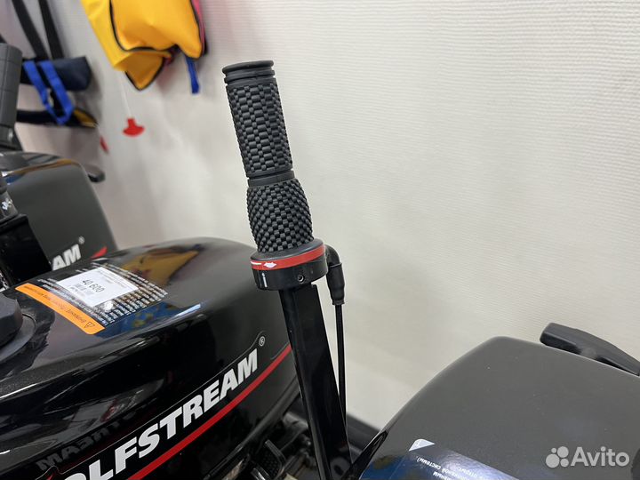 Golfstream (Parsun) T 2.6 cbms лодочный мотор