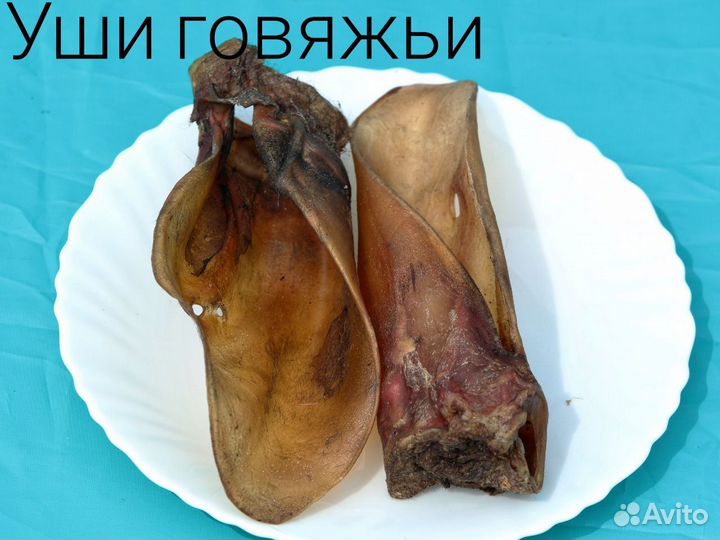 Сухие лакомства для собак