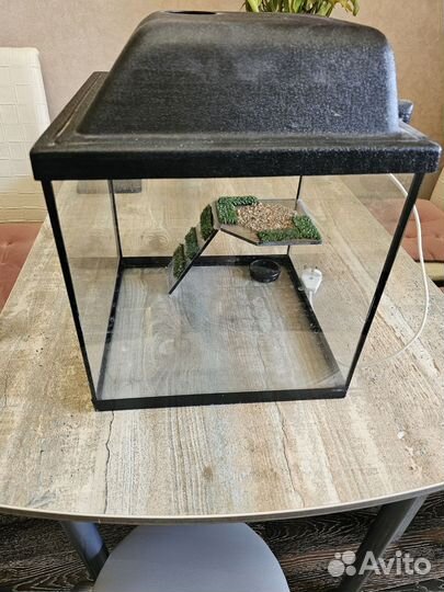 Аквариум для черепах