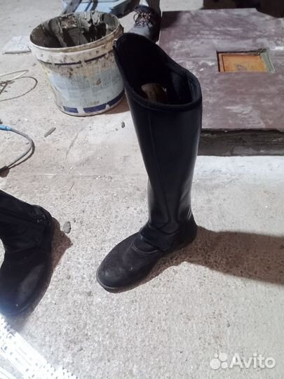 Ботинки и краги для верховой езды