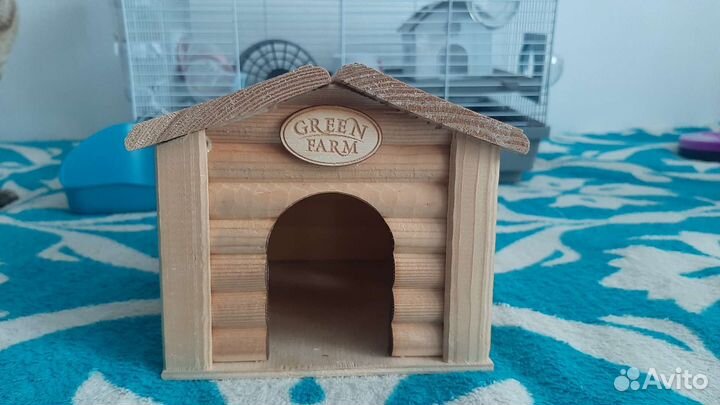 Животные грызуны