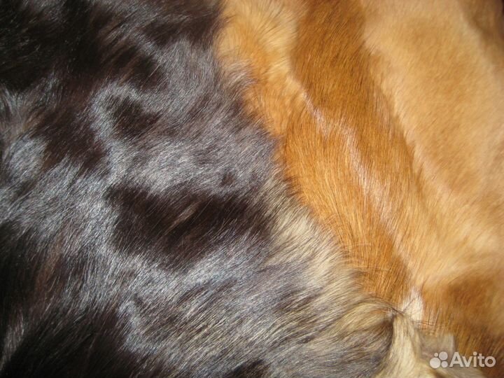 Мех натуральный Чехия
