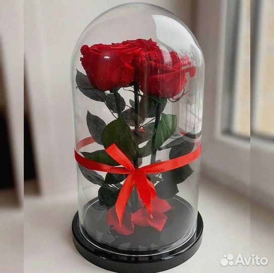 Неувядающая роза в колбе