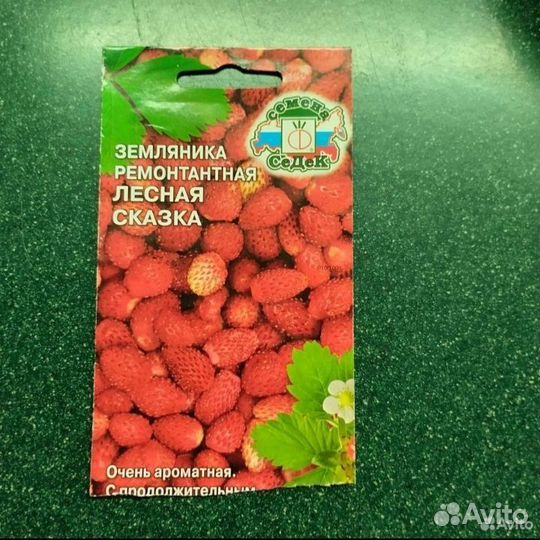 Гвоздика,виола,зем-ка,перец,астра