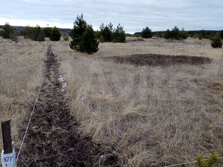 Участок 10 сот. (ИЖС)