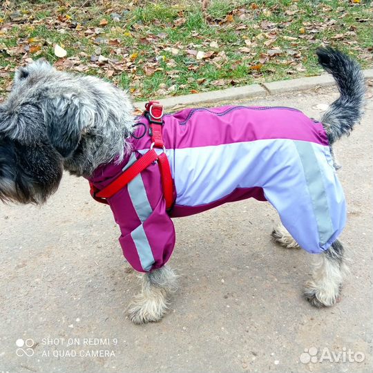 Одежда для собак всех пород