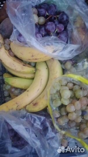 Овощи фрукты