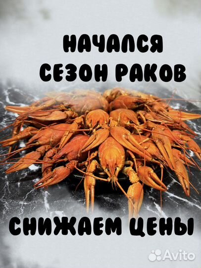 Раки и Креветки живые/вареные Актуальный Прайс