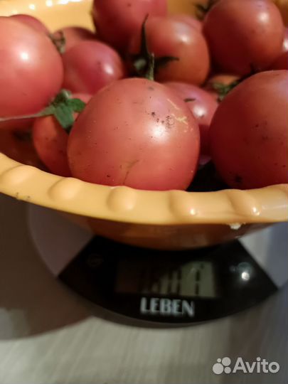 Кабачки, огурцы, помидоры, рыба свежая