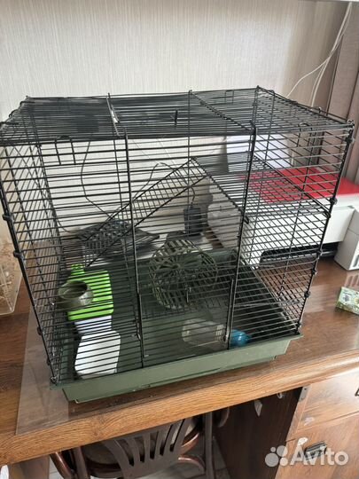 Клетка для грызунов бесплатно