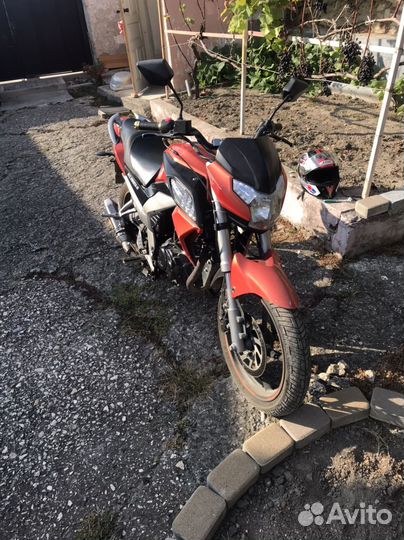 Racer 250