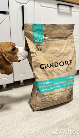 Корм для собак grandorf