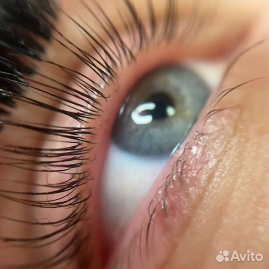 Наращивание ресниц/Брови/Лами ресниц