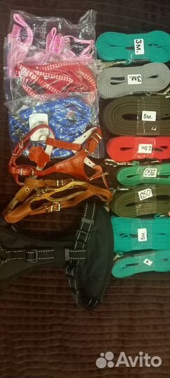 Амуниция:Удавки,поводки,ошейники,шлейки,намордники