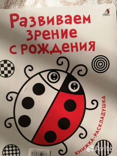 Книжка раскладушка