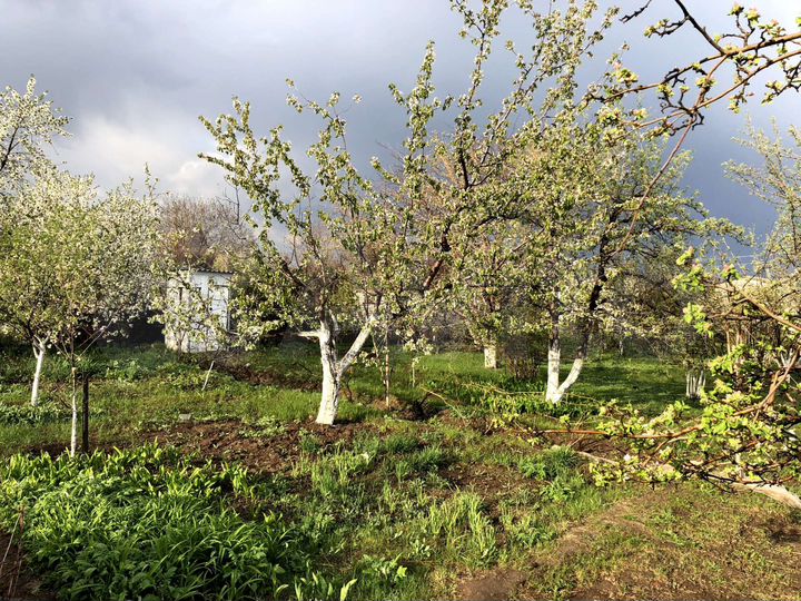 Дача 60 м² на участке 12 сот.