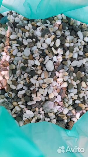 Аквариум + Грунт + Фильтр/Воздух