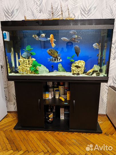 Аквариум с рыбками