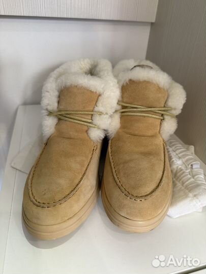 12 storeez ботинки 37