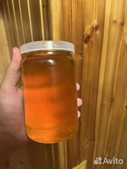 Начитанный Мёд