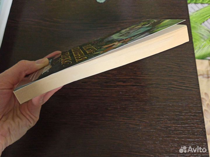 Грем Джойс. Как бы волшебная сказка