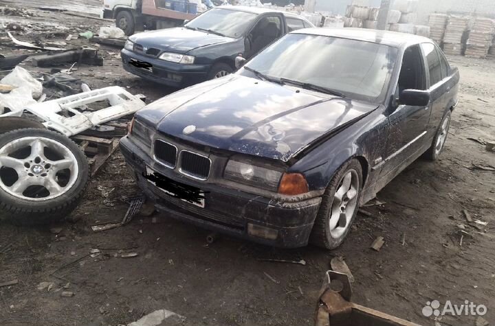 Мотор м43б16 е36 в полном разборе