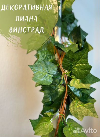 Декоративная лиана винограда (новое) дина 220 см