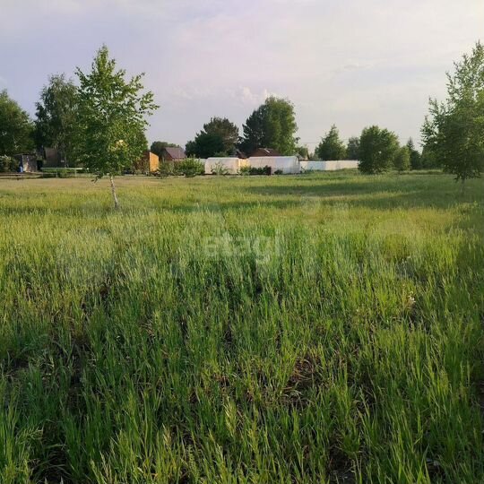 Участок 10,1 сот. (СНТ, ДНП)