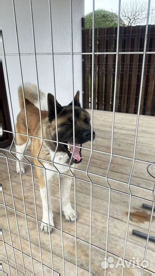 Брусчатка с доставкой