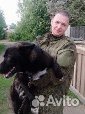 Собака в добрые руки отдам бесплатно